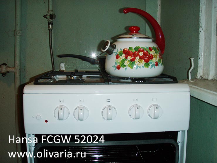 Hansa FCGW 52024